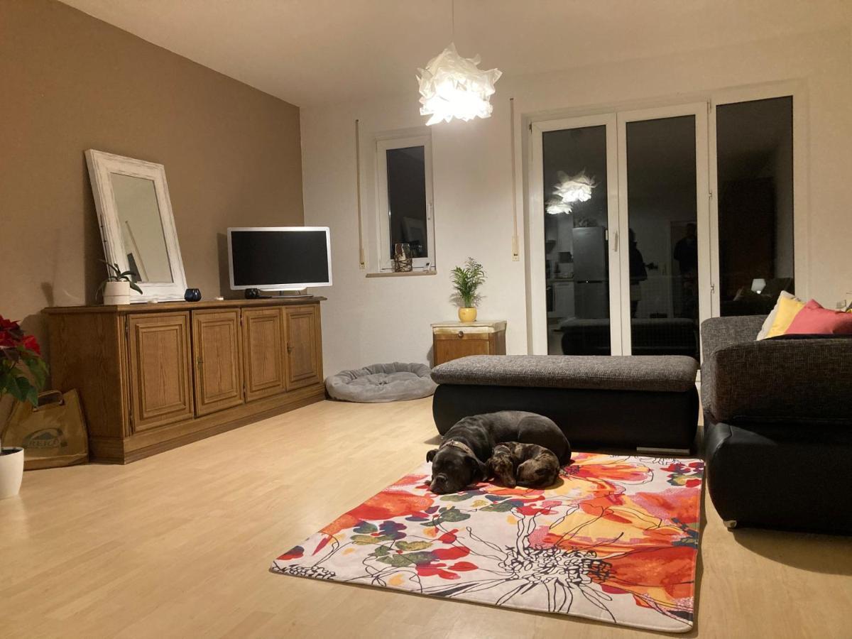 3 Zi Wohnung Haustiere Willkommen Im Markgraeflerland Dreilaendereck Schliengen Kültér fotó